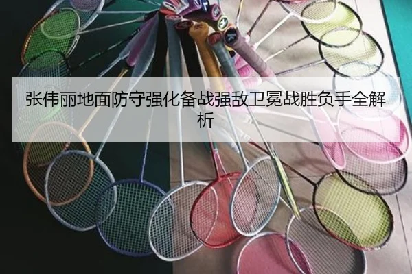 张伟丽地面防守强化备战强敌卫冕战胜负手全解析